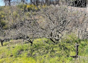 Non correlato - Rustico Via Tuzzonello, Sant'Alfio - foto 24