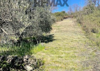 Giardino - Rustico Via Tuzzonello, Sant'Alfio - foto 26