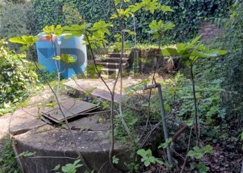 Giardino - Villa CONTRADA CASTELLUCCIO, Augusta - foto 4