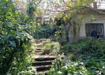 Giardino - Villa CONTRADA CASTELLUCCIO, Augusta - foto 5