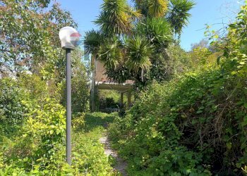 Giardino - Villa CONTRADA CASTELLUCCIO, Augusta - foto 6