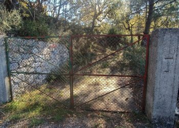 Giardino - Rustico Contrada tifani, Castelmola - foto 2