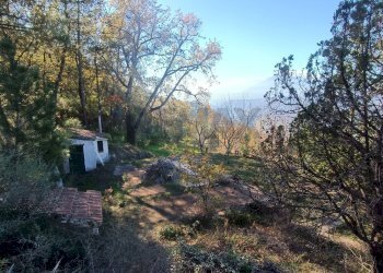 Giardino - Rustico Contrada tifani, Castelmola - foto 6