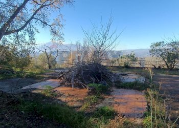 Giardino - Rustico Contrada tifani, Castelmola - foto 9