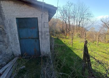 Giardino - Rustico Contrada tifani, Castelmola - foto 15