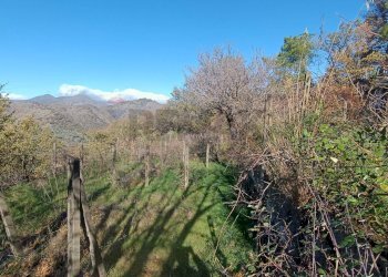 Vista delle montagne - Rustico Contrada tifani, Castelmola - foto 19