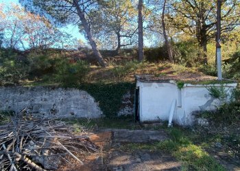 Giardino - Rustico Contrada tifani, Castelmola - foto 20