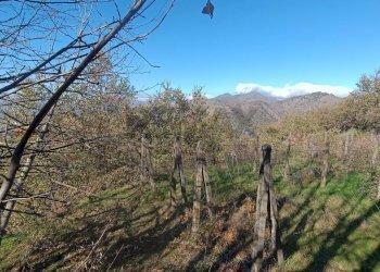 Vista delle montagne - Rustico Contrada tifani, Castelmola - foto 21