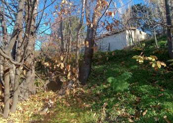 Giardino - Rustico Contrada tifani, Castelmola - foto 22