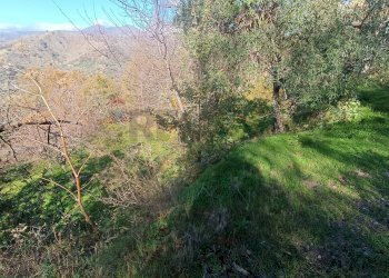 Giardino - Rustico Contrada tifani, Castelmola - foto 33