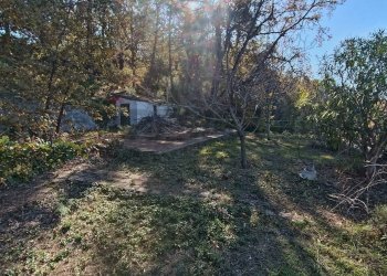 Giardino - Rustico Contrada tifani, Castelmola - foto 39