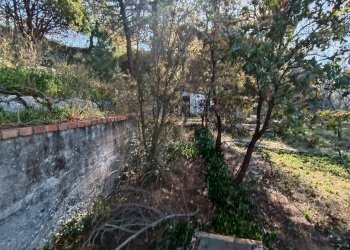 Giardino - Rustico Contrada tifani, Castelmola - foto 40