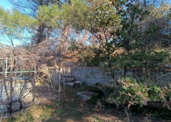 Giardino - Rustico Contrada tifani, Castelmola - foto 43