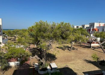 Giardino - Trilocale Viale dei Gerani
 
snc, Manfredonia - foto 15