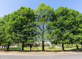 Non correlato - Two-room apartment Via Pertini
 
6, Locate di Triulzi - photo 22