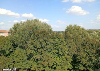 Giardino - Appartamento VIA MOZART
 
29, Mantova - foto 16