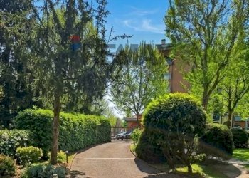 PASSO CARRAIO - Box VIA MILANO
 
33, Cesano Boscone - foto 8