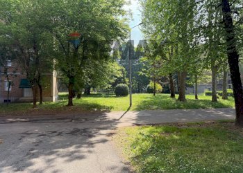 Giardino - Trilocale Via Arezzo, Milano - foto 28