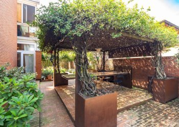 Giardino - Villa Chiari - foto 16