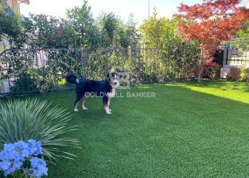 GIARDINO - Villa Zona Via Todeschino, Sirmione - foto 18