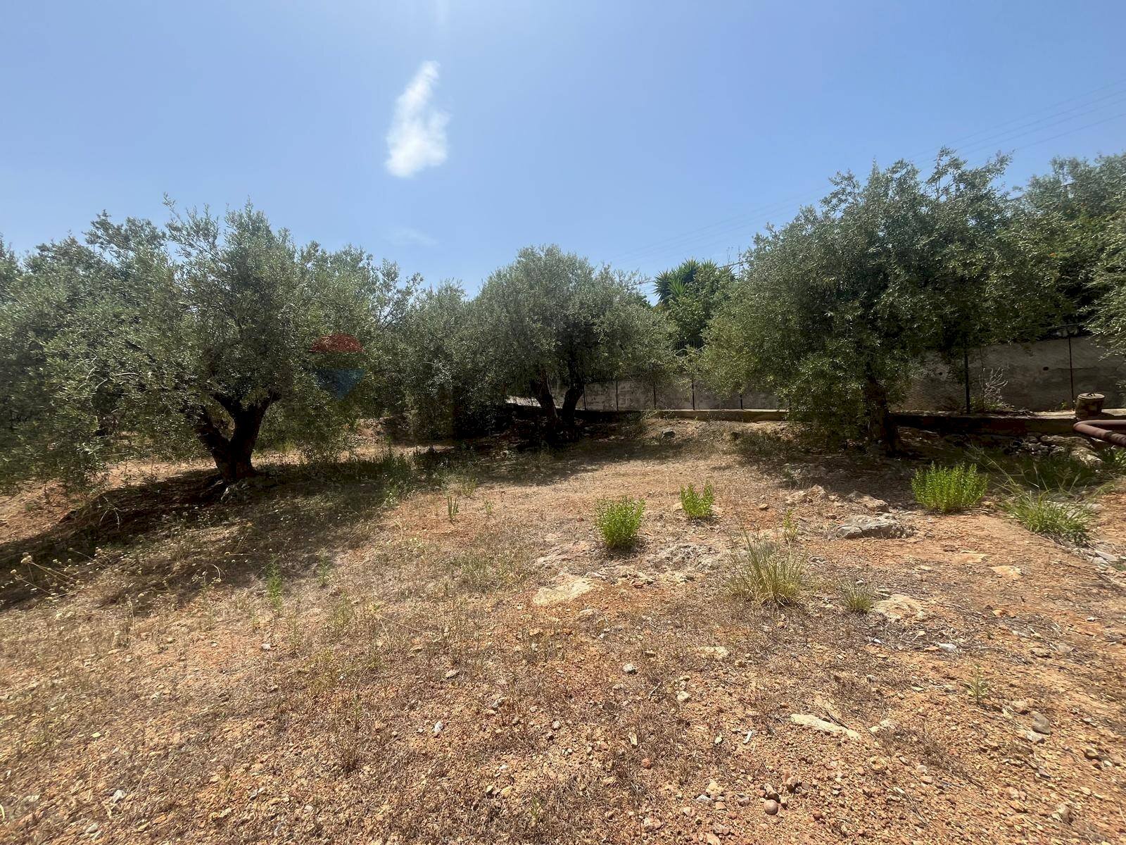 Giardino - Terreno edificabile Via San Michele, Trabia - foto 3