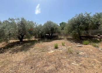 Giardino - Terreno edificabile Via San Michele, Trabia - foto 3