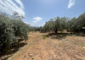 Giardino - Terreno edificabile Via San Michele, Trabia - foto 4