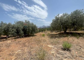 Giardino - Terreno edificabile Via San Michele, Trabia - foto 5