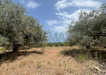 Giardino - Terreno edificabile Via San Michele, Trabia - foto 7