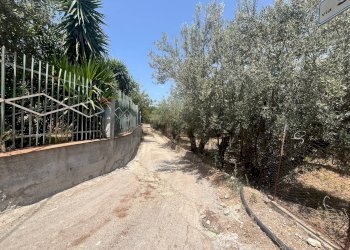 Giardino - Terreno edificabile Via San Michele, Trabia - foto 10