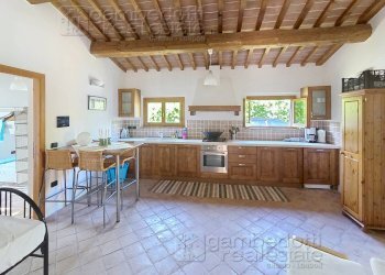 Foto 33 - Villa Sassocorvaro Auditore - foto 33