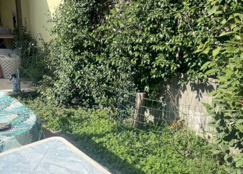 Foto 9 - One-room apartment Empoli - photo 9