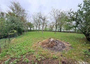 Foto 17 - Villa Poggio Rusco - foto 17