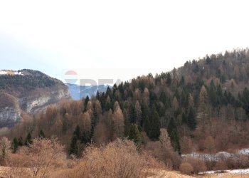 Vista delle montagne - Trilocale VIA RONCHI DI DIETRO, Gallio - foto 6