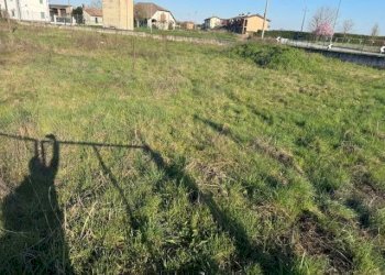 Foto 4 - Terreno edificabile TORRE DEI CANI, San Martino Siccomario - foto 3