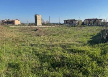 Foto 5 - Terreno edificabile TORRE DEI CANI, San Martino Siccomario - foto 4