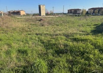 Foto 6 - Terreno edificabile TORRE DEI CANI, San Martino Siccomario - foto 5