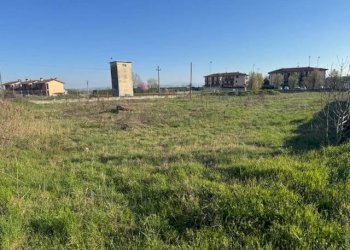 Foto 7 - Terreno edificabile TORRE DEI CANI, San Martino Siccomario - foto 6