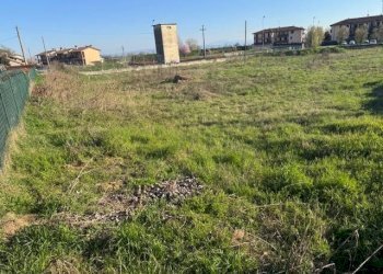 Foto 10 - Terreno edificabile TORRE DEI CANI, San Martino Siccomario - foto 9