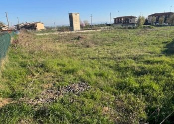 Foto 11 - Terreno edificabile TORRE DEI CANI, San Martino Siccomario - foto 10