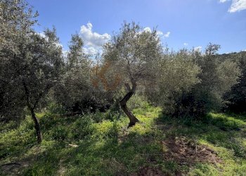 Foto 16 - Casa indipendente Località San Giovanni
 
snc, Sennori - foto 16