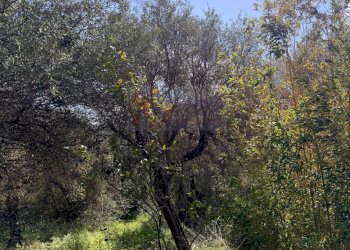 Foto 18 - Casa indipendente Località San Giovanni
 
snc, Sennori - foto 18