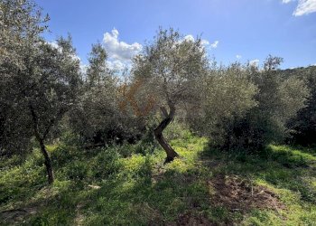 Foto 20 - Casa indipendente Località San Giovanni
 
snc, Sennori - foto 20