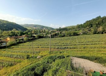 Foto 1 - Appartamento Via di Corliano, Lastra a Signa - foto 1