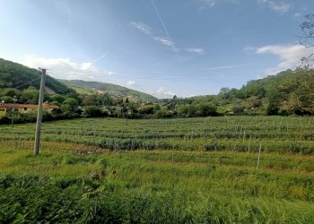 Foto 8 - Appartamento Via di Corliano, Lastra a Signa - foto 8