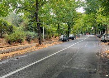 Foto 36 - Appartamento viale Augusto Righi
 
83, Firenze - foto 36