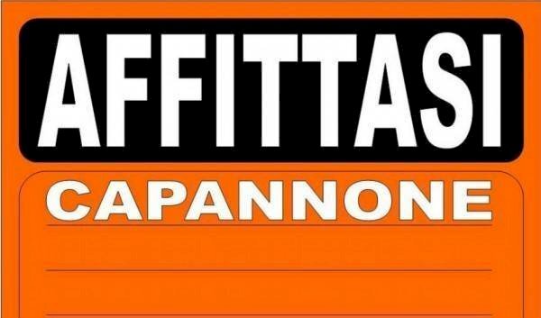 Altro - Capannone via Alessandro Tassoni, Carpi - foto 1