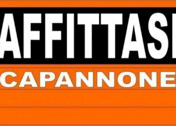 Altro - Capannone via Alessandro Tassoni, Carpi - foto 1