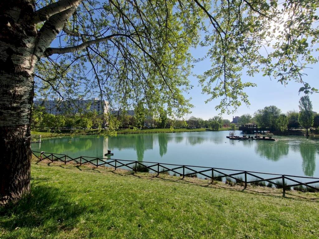 Zona - Monolocale via dell'Arcoveggio, 154, Bologna (zona Corticella) - foto 1