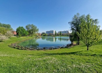 Piscina - Monolocale via dell'Arcoveggio, 154, Bologna (zona Corticella) - foto 11